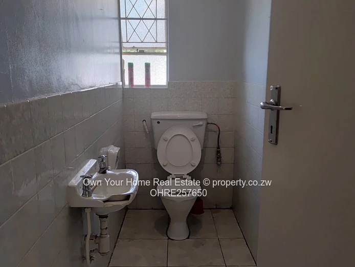 Alexandra Park house to rent 