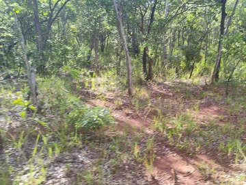 Farm & Agricultural Land