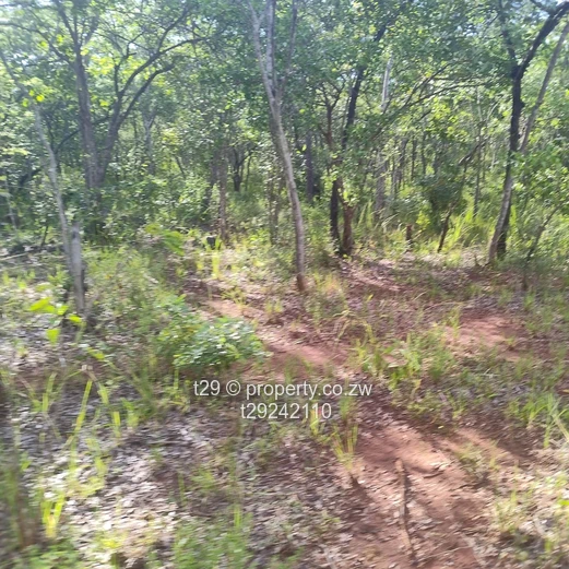 Norton chegutu selous plots for sale