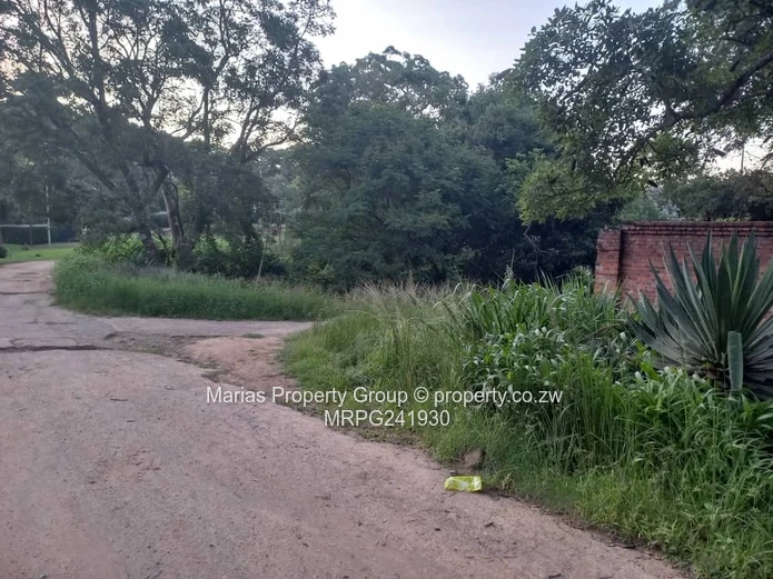 7249 m² Glen Lorne Stand — Tarred Roads, Water & Sewer