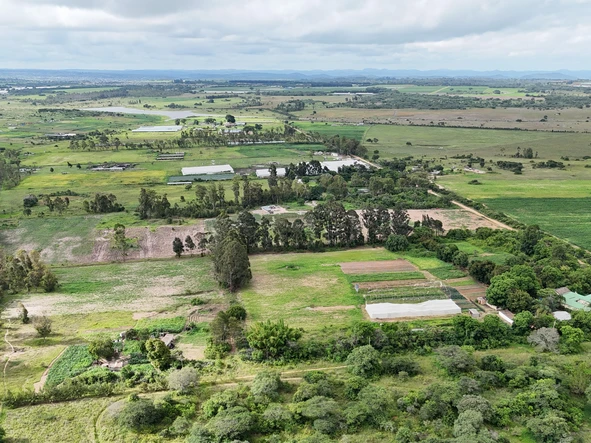 Farm & Agricultural Land