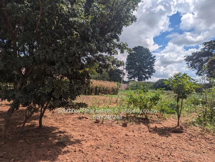 Build your future in Tynwald South