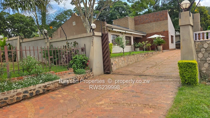 Investment Opportunity 