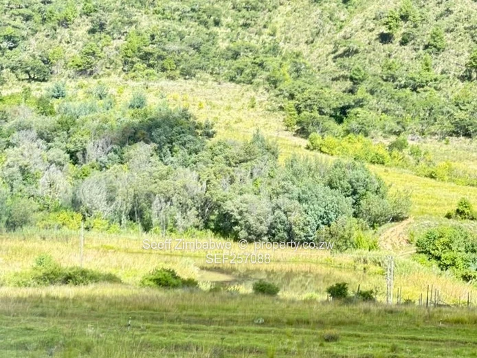 6081 m² Prime Nyanga Plot for Sale with Title Deeds
