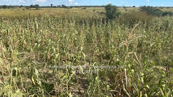 Build Your Future In Timire Park- 250-700Sqm