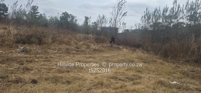 Carrick Creagh Estate land for sale  80usd per square (Sole Mandate)