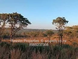 Prime Agricultural Plot for Sale in Ngezi
