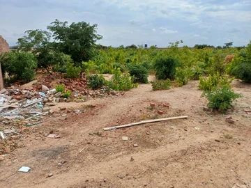 Stands & Residential Land