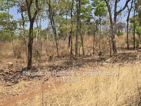 Massive development land for sale along Crowhill Road 