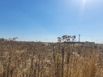 Commercial & Industrial Land