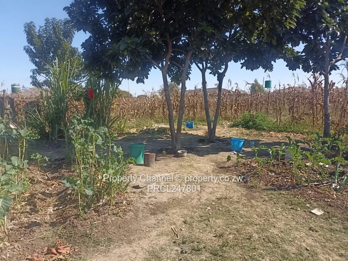 3000sqm Stand for Sale – Goodhope, Westgate Area