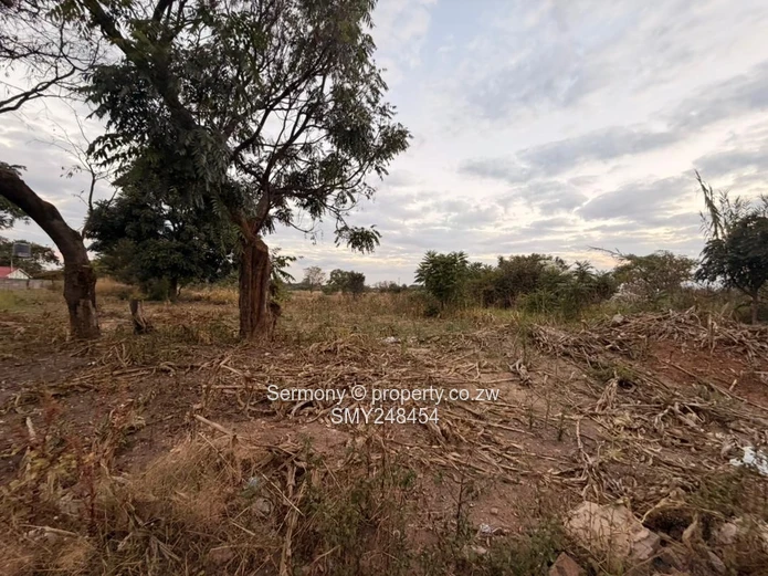 Ideal For Clusters 2.45 Hectares Land For Sale