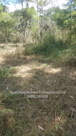 Opportunity not to miss