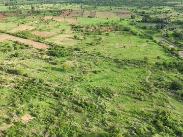 Commercial & Industrial Land