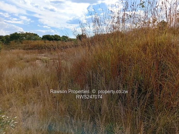 Agroplot for Sale in Ruwa