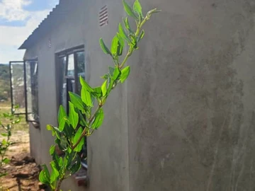 Cottage For Sale