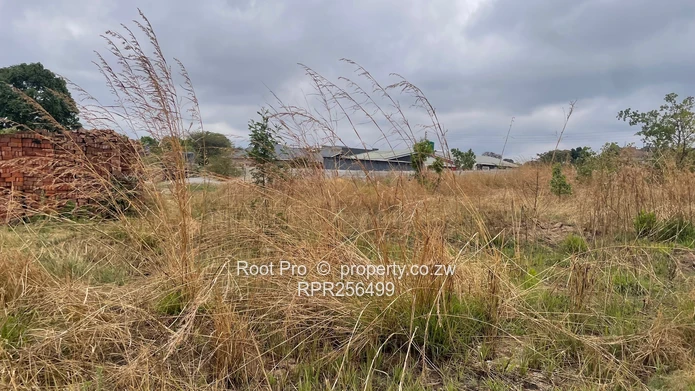 Stand For Sale In Manresa 