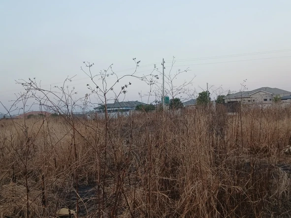 Commercial & Industrial Land