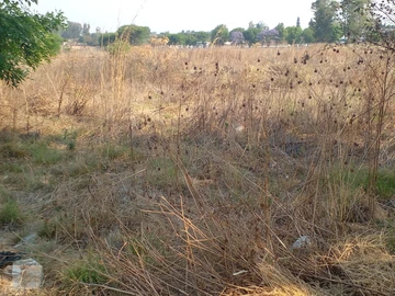 Commercial & Industrial Land