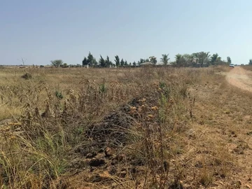 Farm & Agricultural Land