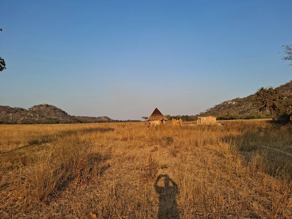 Farm & Agricultural Land