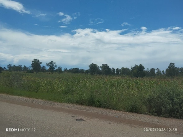 Commercial & Industrial Land