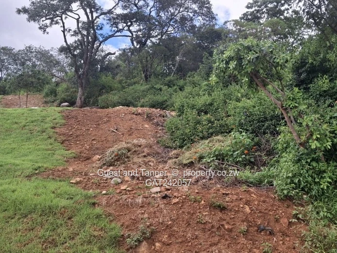 Prime Elevated Residential Stand for Sale in Helensvale – Gated Community