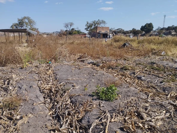 Commercial & Industrial Land