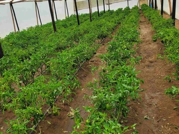 Farm & Agricultural Land