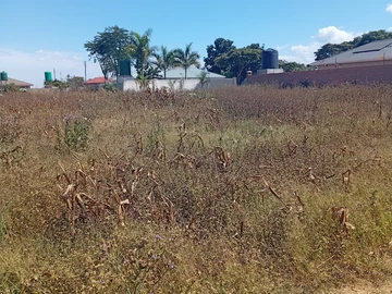 Commercial & Industrial Land