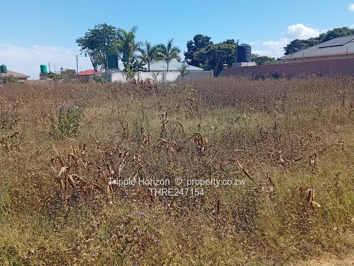 Prime 1600m² Commercial Lot  in Evelengus Damofalls with Main Road Frontage