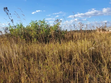 Commercial & Industrial Land