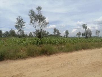 Stands & Residential Land