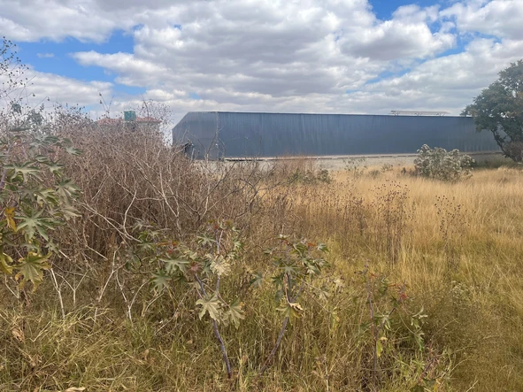 Commercial & Industrial Land