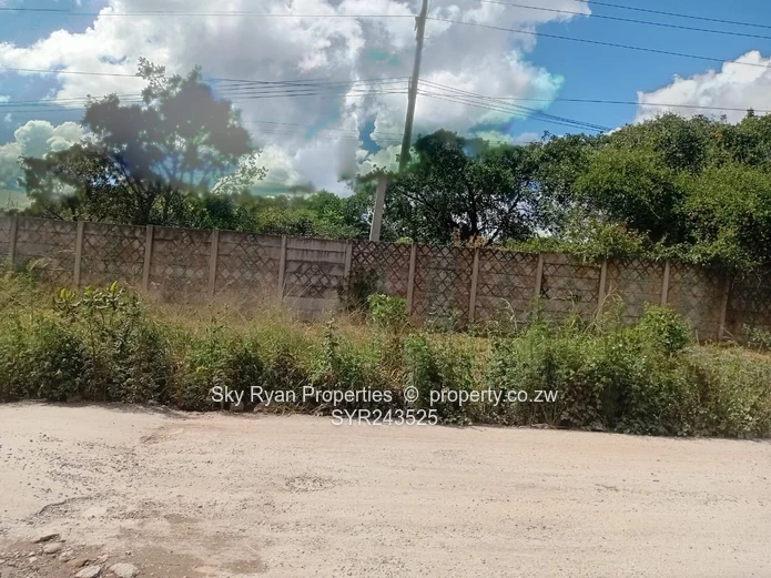 Msasa Industrial Stand For Sale