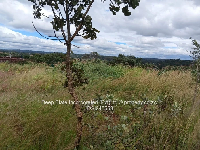 Chishawa Hills stand for sale 