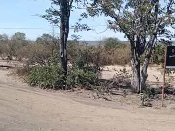 Commercial & Industrial Land