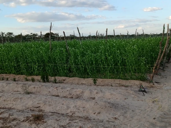 Farm & Agricultural Land