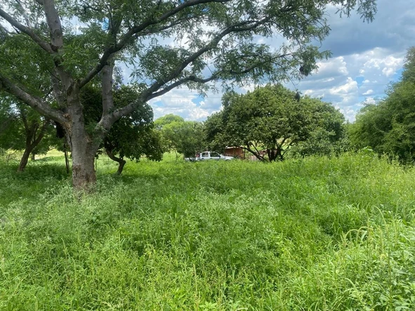 Farm & Agricultural Land