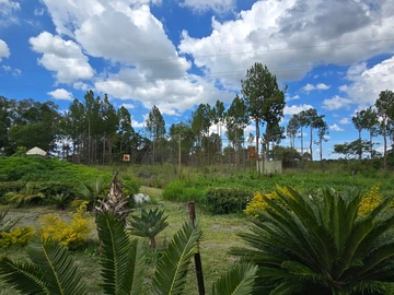 Farm & Agricultural Land