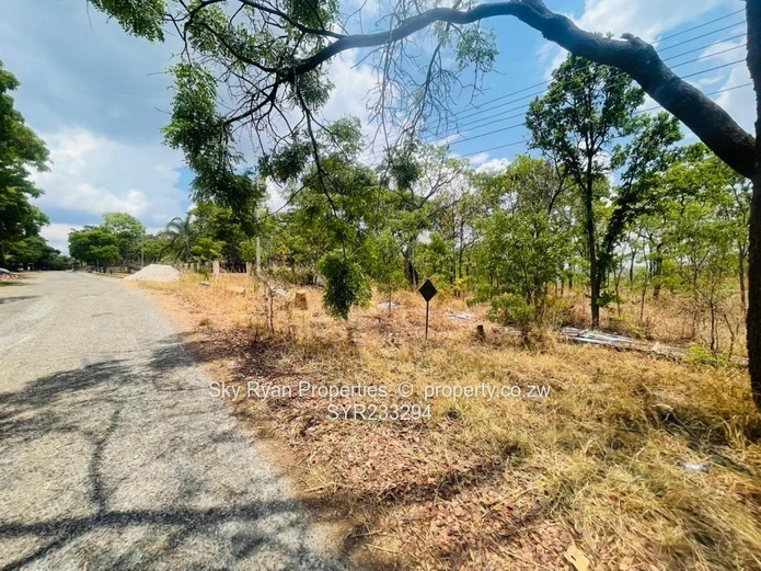 Glen Lorne  Stand For Sale (Sole Mandate)