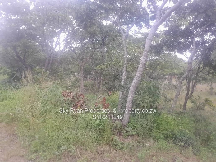 Carrick Creagh Stand For Sale