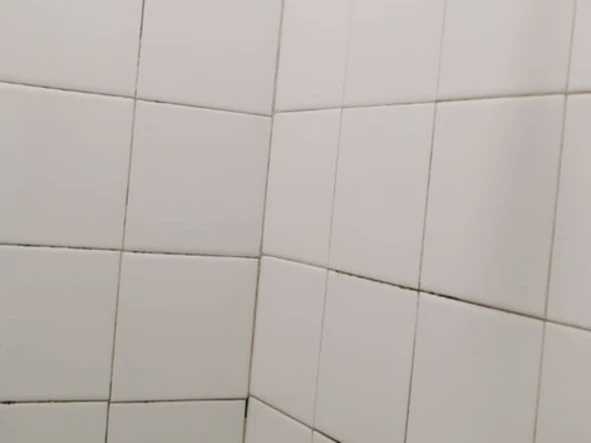 2 Bedroom Garden Flat