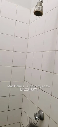 Avenues Finest- 2 bed Duplex Garden flat