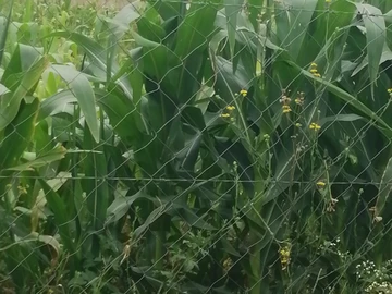 Farm & Agricultural Land