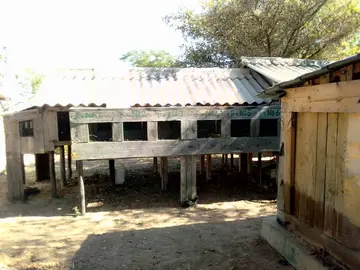 Farm & Agricultural Land