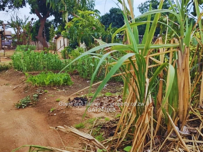 4-Roomed House for Sale – Rujeko, Marondera