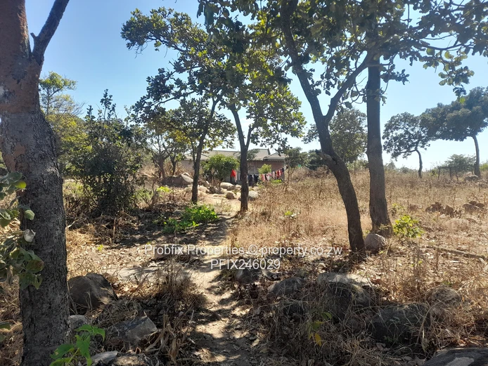 Crow Hill Residential Stand for Sale