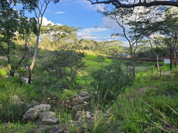 Farm & Agricultural Land