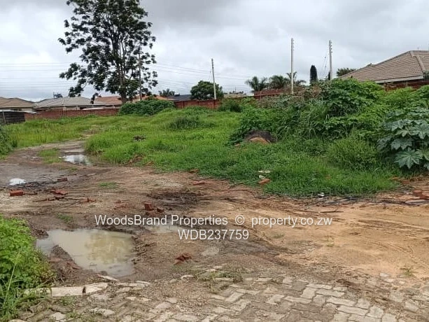 Cold Comfort Duplex Stands- Pleasant Valley drive